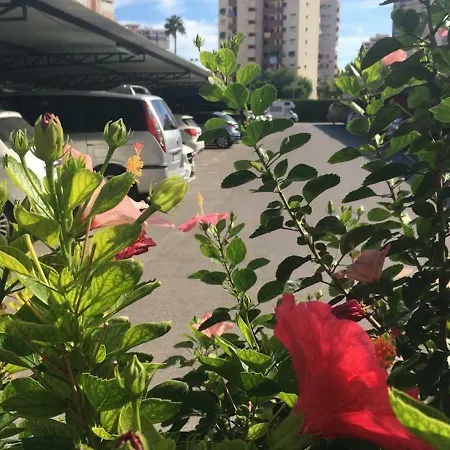 Apartman Family And Friends - San Juan Playa *